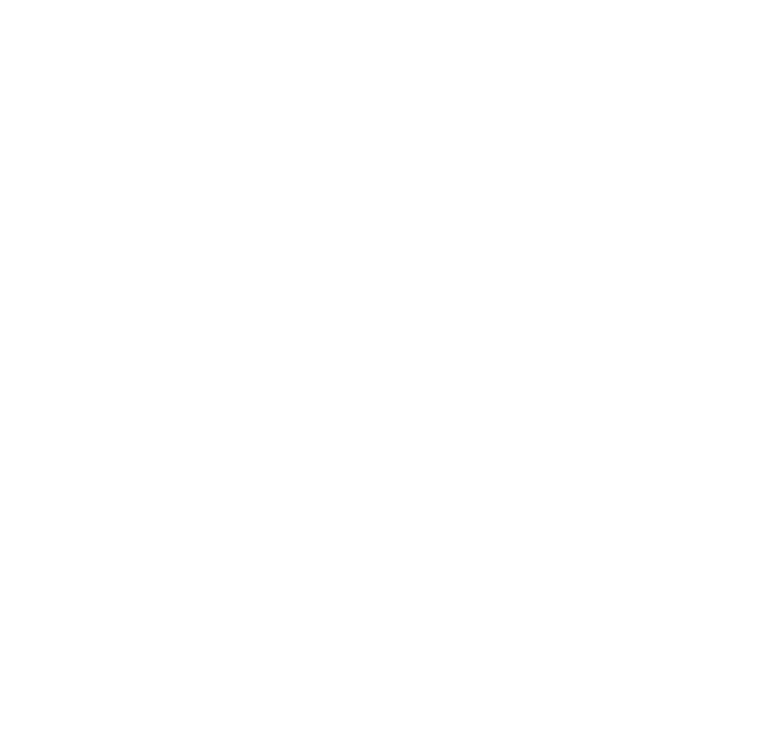 Elavon